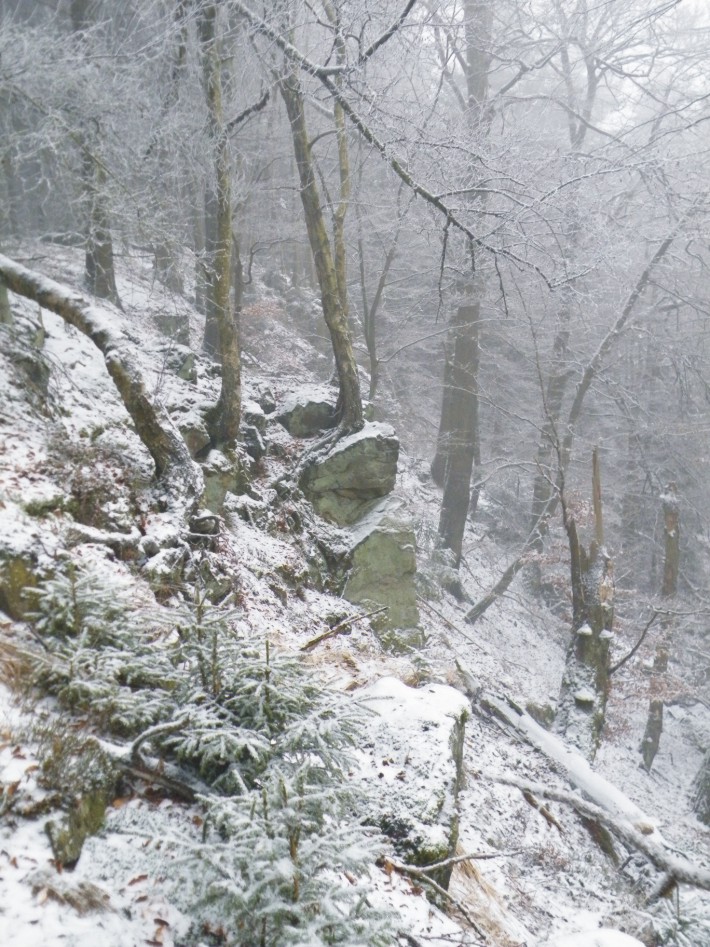 Klippenweg Borlinghausen - Willebadessen.jpg