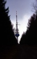 Abriss alter Fernsehturm Willebadessen 029.JPG
