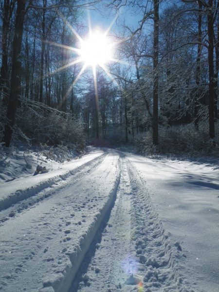 Datei:Winter in der Egge a.jpg