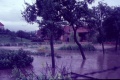 Hochwasser 1965 Garten Fölsener Str.JPG