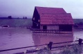 Hochwasser 1965 Scheune Neuenheerser Str.JPG
