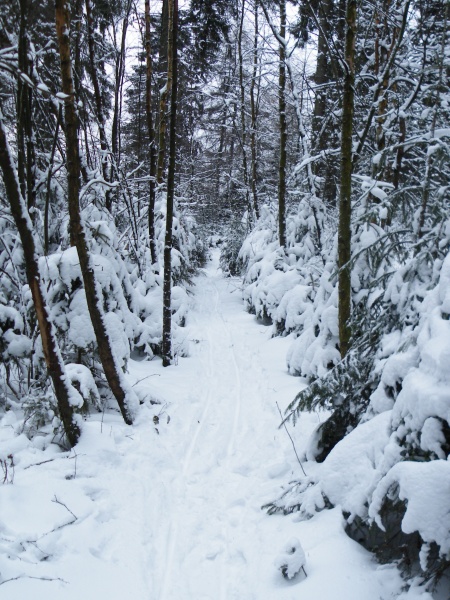 Datei:Eggewanderweg 2010 b.JPG