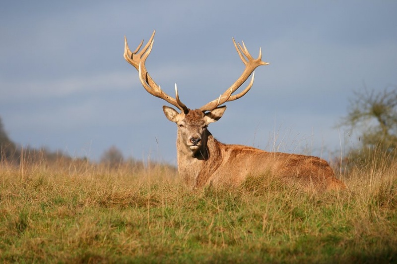 Datei:WW SB1 094.JPG