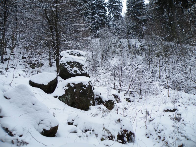Datei:Opferstein Kleinenberg 2010 d.JPG